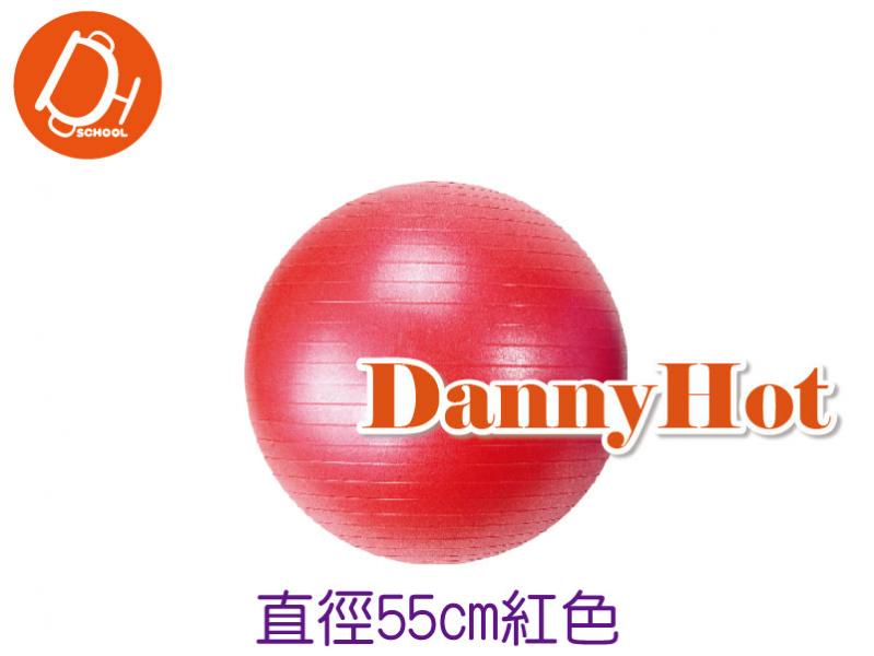 乳膠龍球-直徑55cm