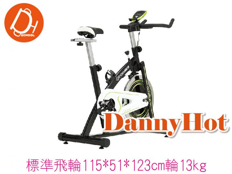 標準飛輪(13KG)