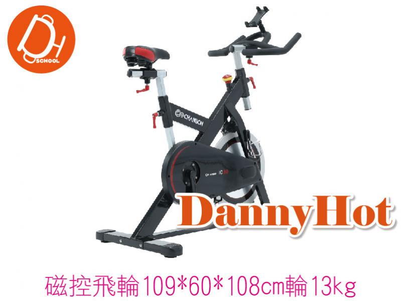 磁控飛輪(13KG)