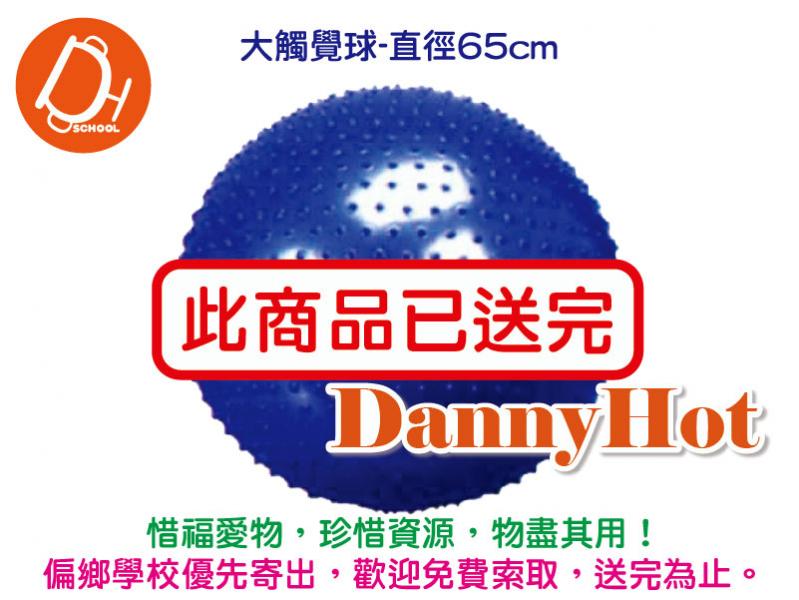 大觸覺球（已送完）