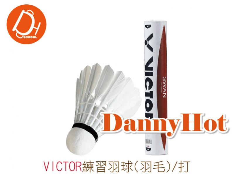 VICTOR練習羽球-羽毛