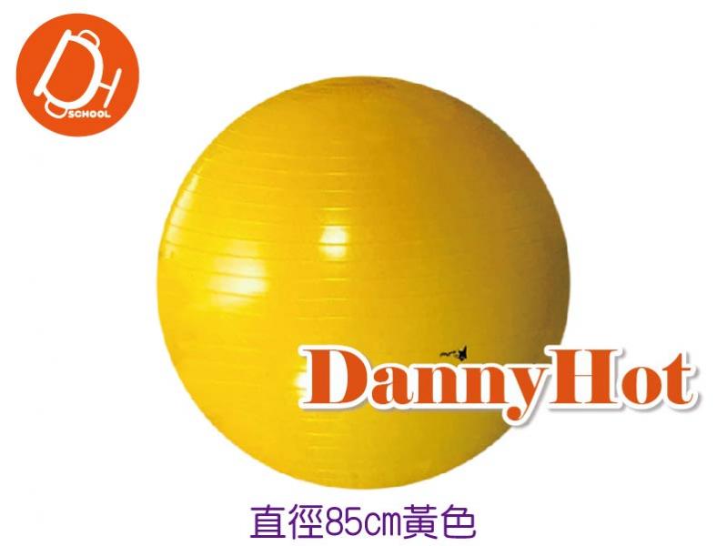 乳膠龍球-直徑85cm