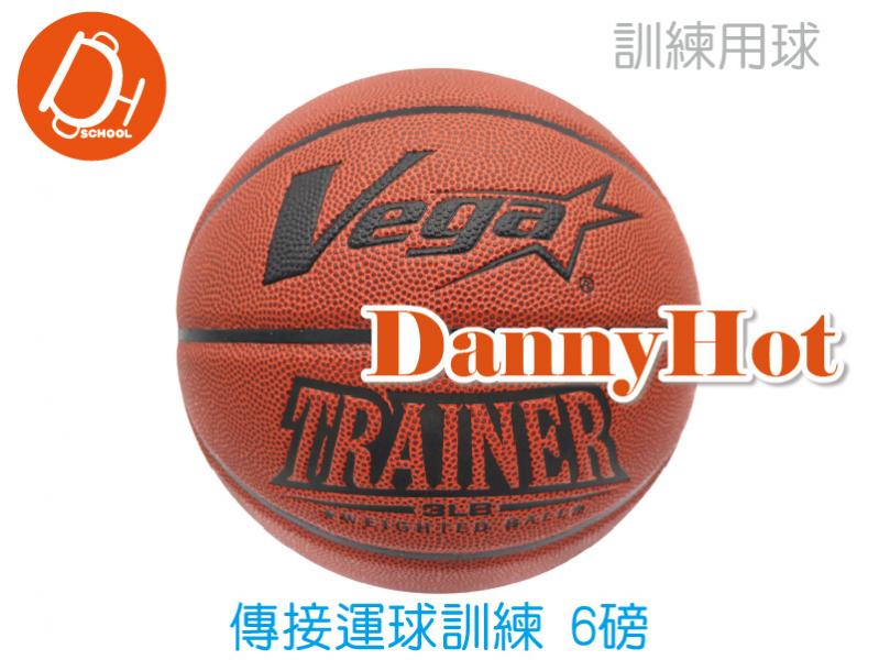 VEGA重球-6磅(傳接運球)